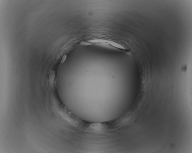 X0000111790231200908131420