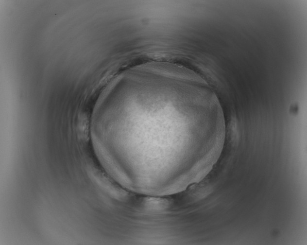 X0000111790234200908131420