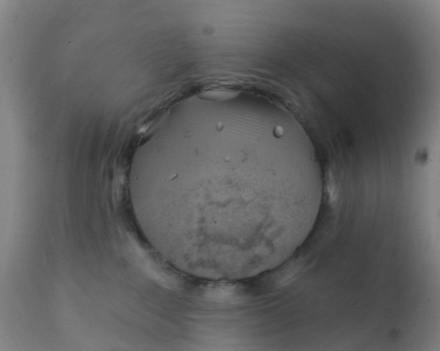 X0000111790235200908131420