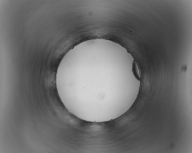 X0000111790236200908131420