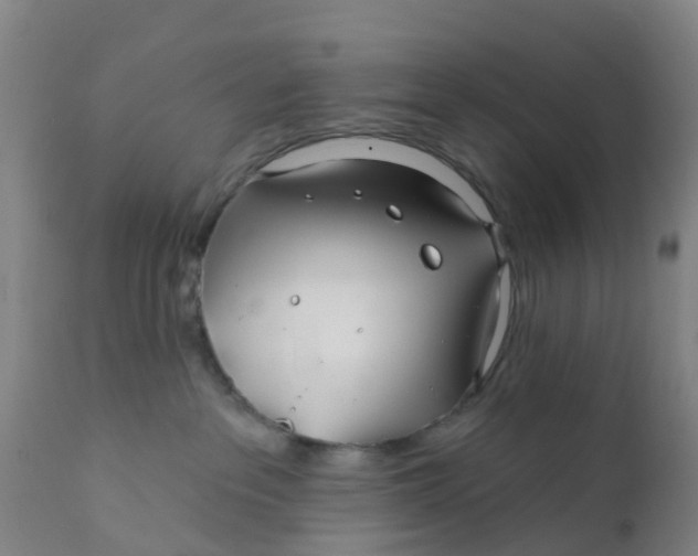 X0000111790237200908131420