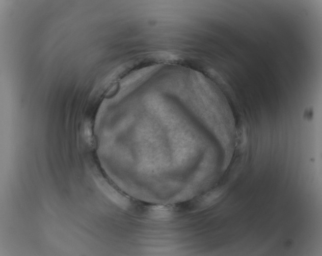 X0000111790238200908131420