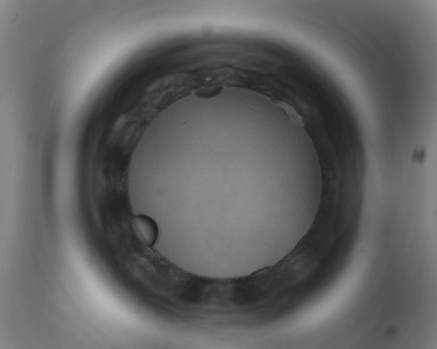 X0000111790239200908131420