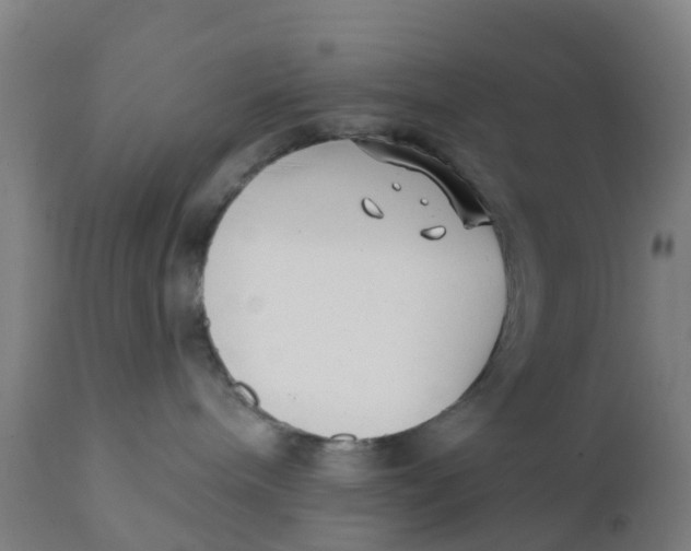 X0000111790240200908131420