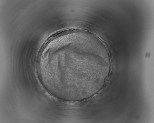 X0000111790241200908131419