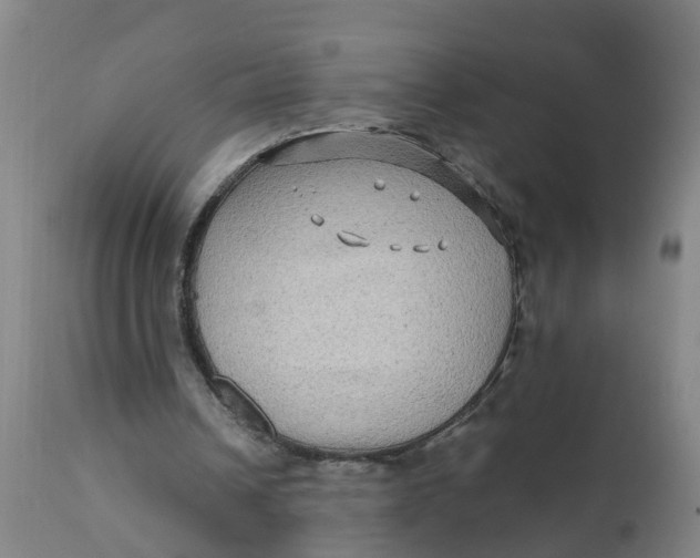 X0000111790242200908131419