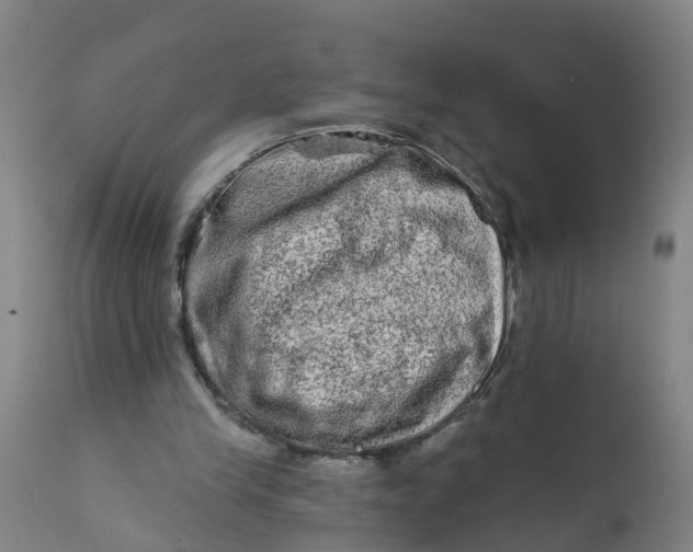 X0000111790245200908131419