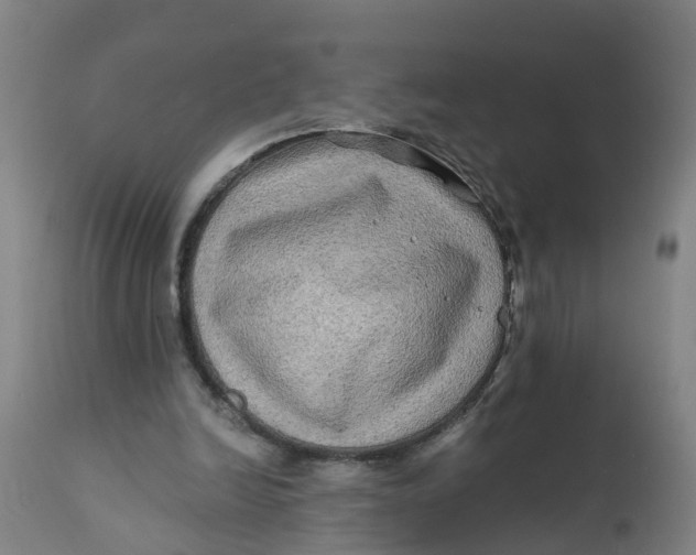 X0000111790246200908131419