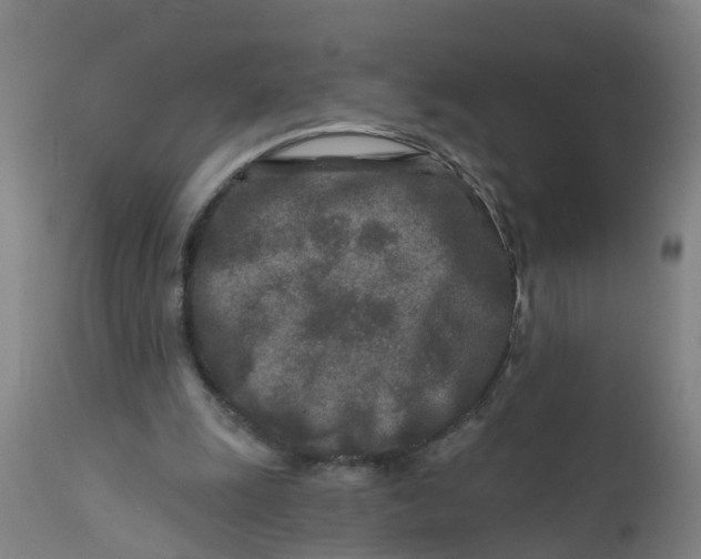 X0000111790247200908131419