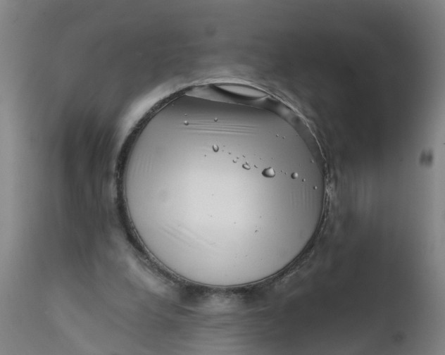 X0000111790248200908131419