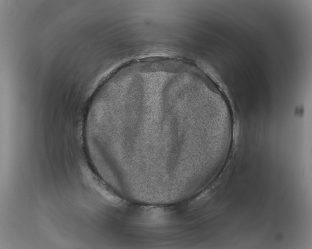 X0000111790249200908131419