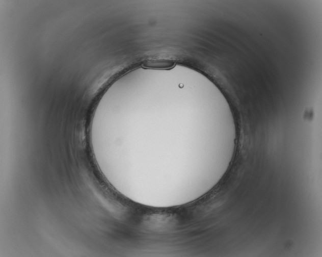 X0000111790251200908131419