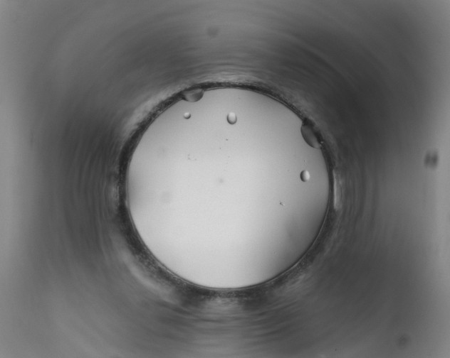 X0000111790252200908131419