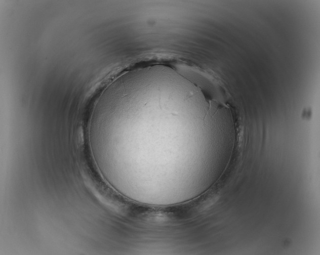 X0000111790254200908131419