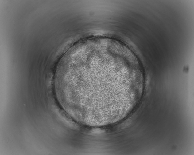 X0000111790257200908131419