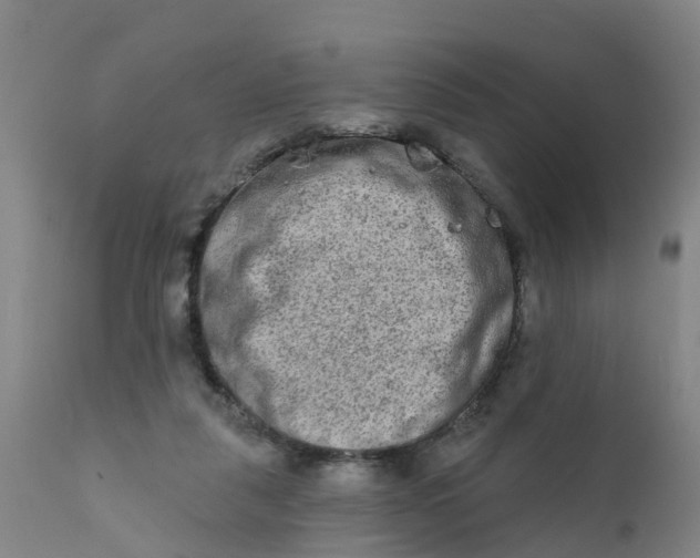 X0000111790259200908131419