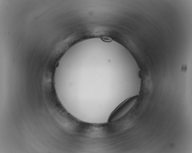 X0000111790260200908131419