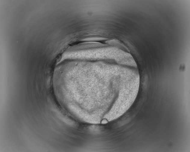 X0000111790261200908131419