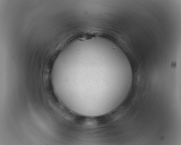 X0000111790263200908131419