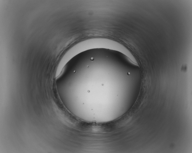 X0000111790264200908131419