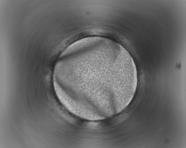 X0000111790265200908131419