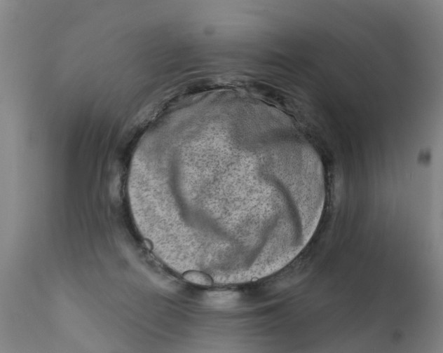 X0000111790266200908131419