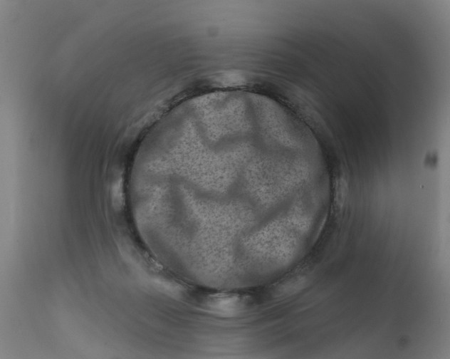 X0000111790267200908131419