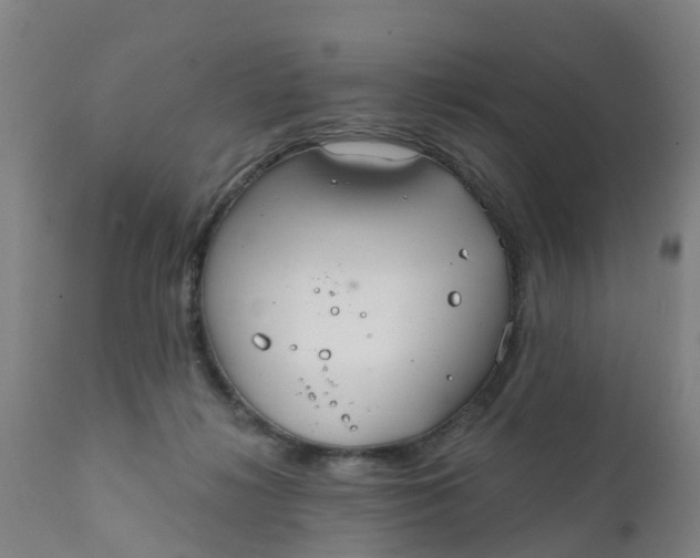 X0000111790268200908131419