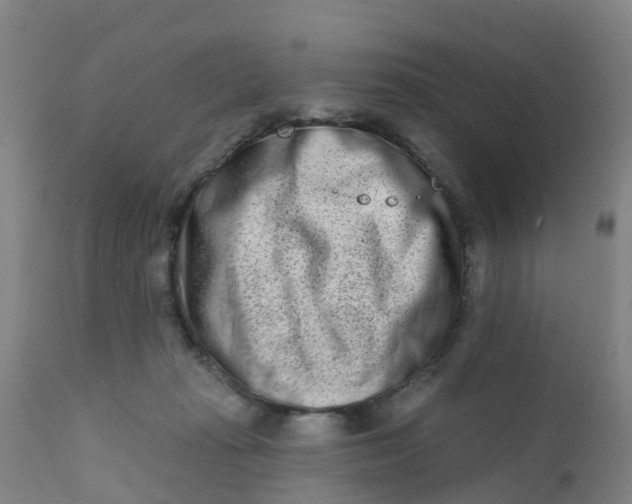 X0000111790269200908131419