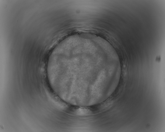 X0000111790270200908131419