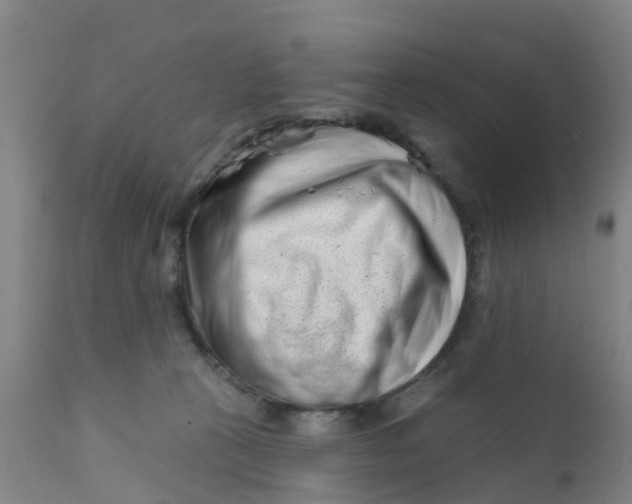 X0000111790273200908131419