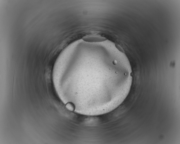 X0000111790274200908131419