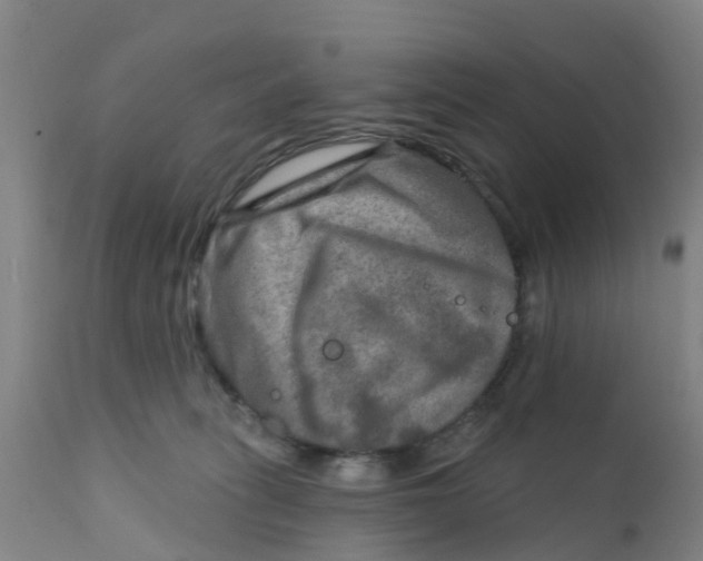 X0000111790275200908131419