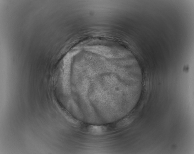 X0000111790277200908131419