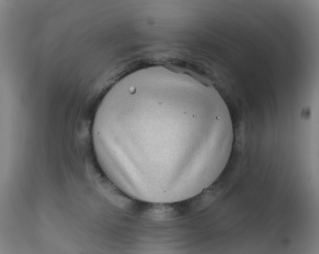 X0000111790278200908131419