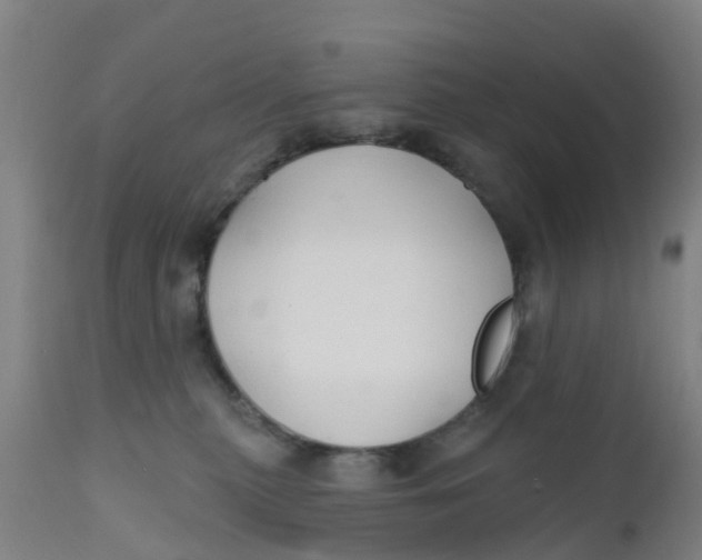 X0000111790279200908131420