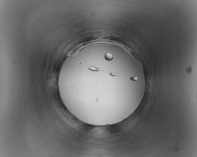 X0000111790280200908131420