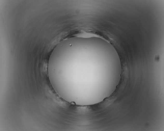 X0000111790281200908131420