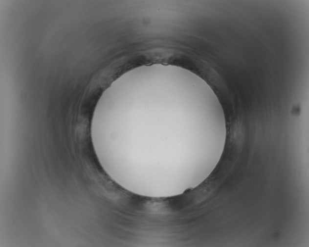 X0000111790283200908131420