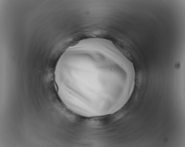 X0000111790284200908131420