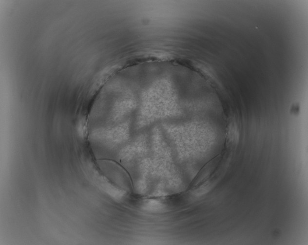 X0000111790285200908131420