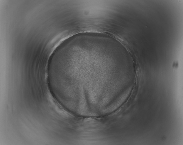 X0000111790290200908131419