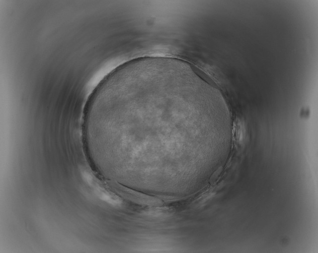 X0000111790292200908131419