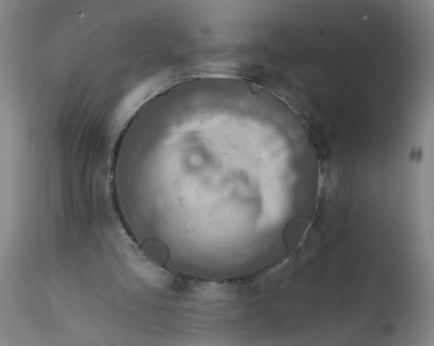 X0000111790293200908131419