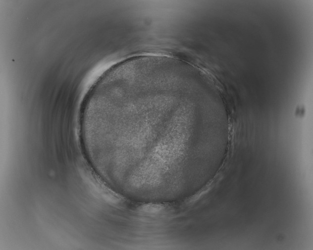 X0000111790294200908131419