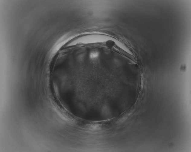 X0000111790295200908131419