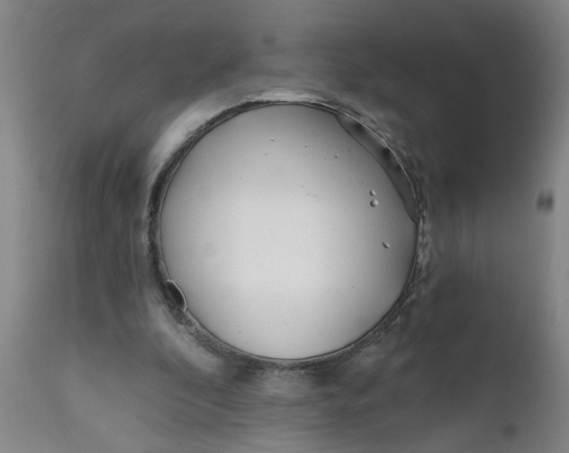 X0000111790296200908131419