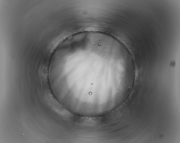 X0000111790297200908131419