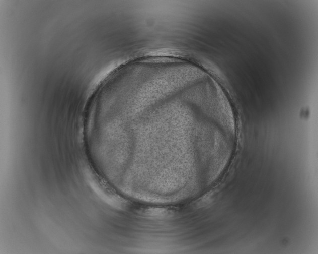 X0000111790298200908131419