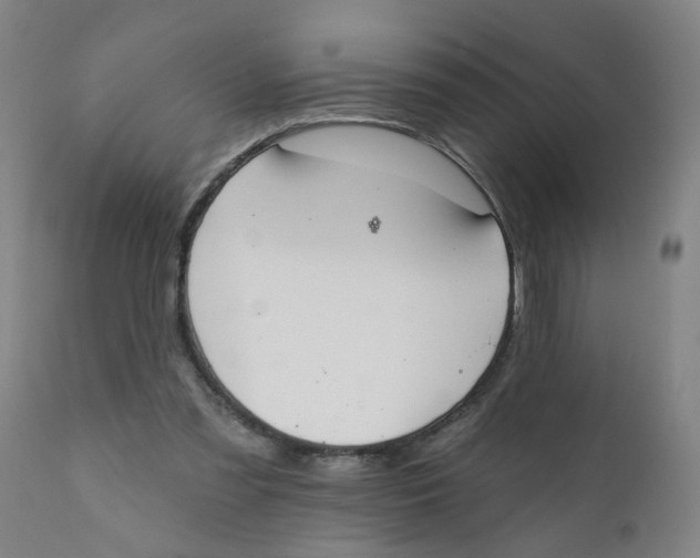 X0000111790301200908131419